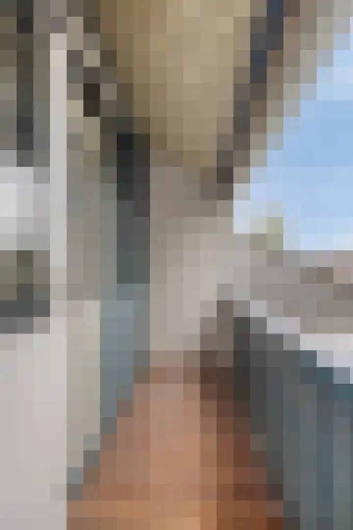 Schoof 29 Huissen thumbnail 34