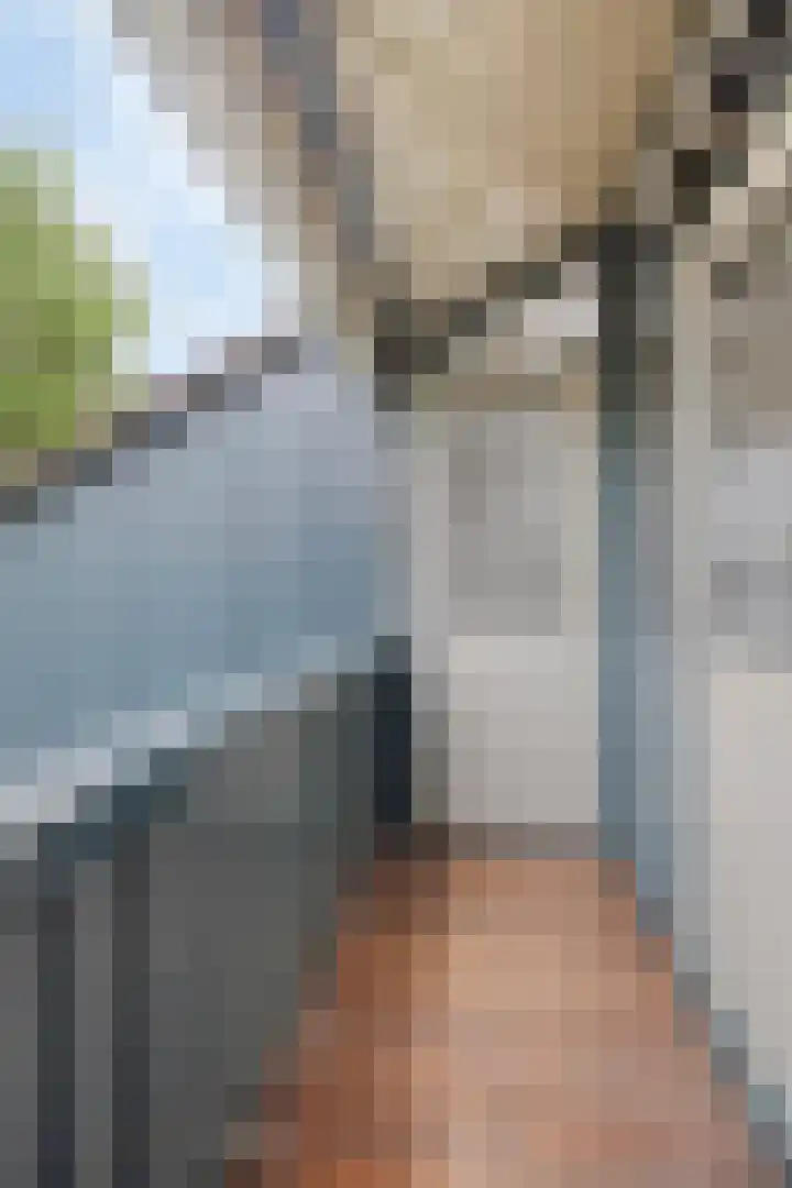 Schoof 29 Huissen thumbnail 35