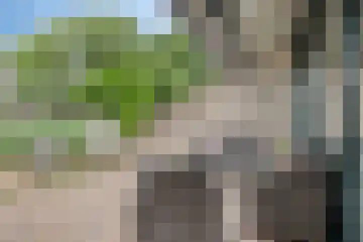 Schoof 29 Huissen thumbnail 37