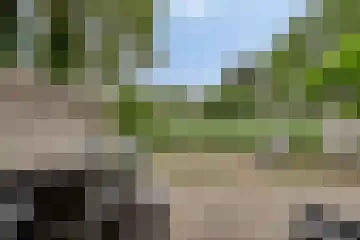Schoof 29 Huissen thumbnail 38