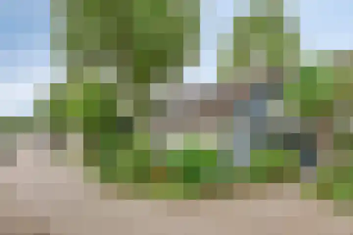 Schoof 29 Huissen thumbnail 4