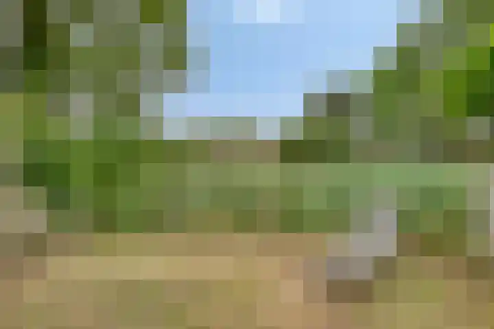 Schoof 29 Huissen thumbnail 41