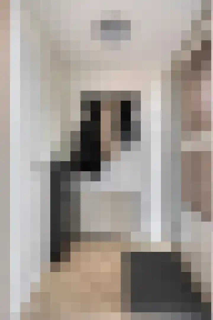 Schoof 29 Huissen thumbnail 6