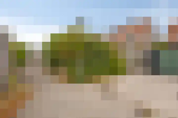 Schoof 58 Malden thumbnail 25