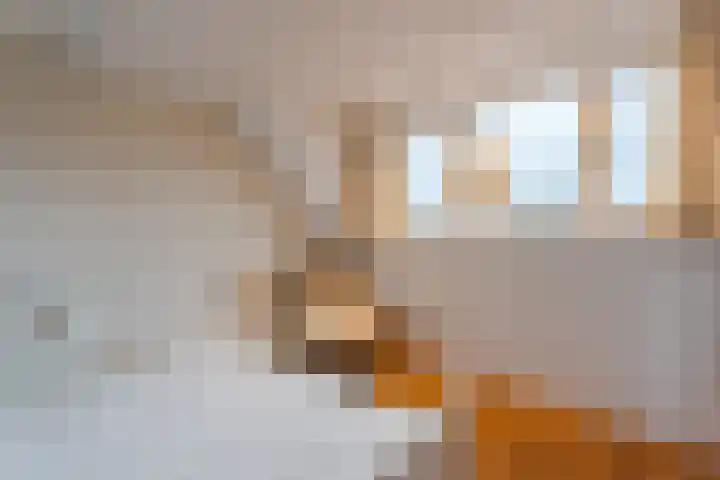 Schoof 62 Malden thumbnail 21