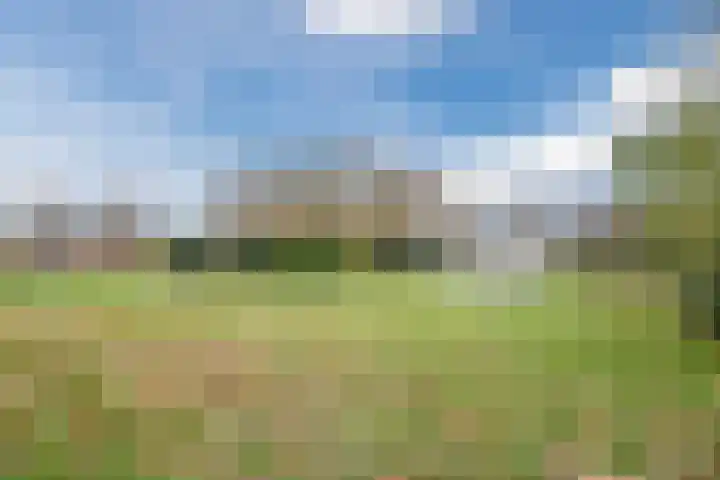 Schoof 62 Malden thumbnail 26