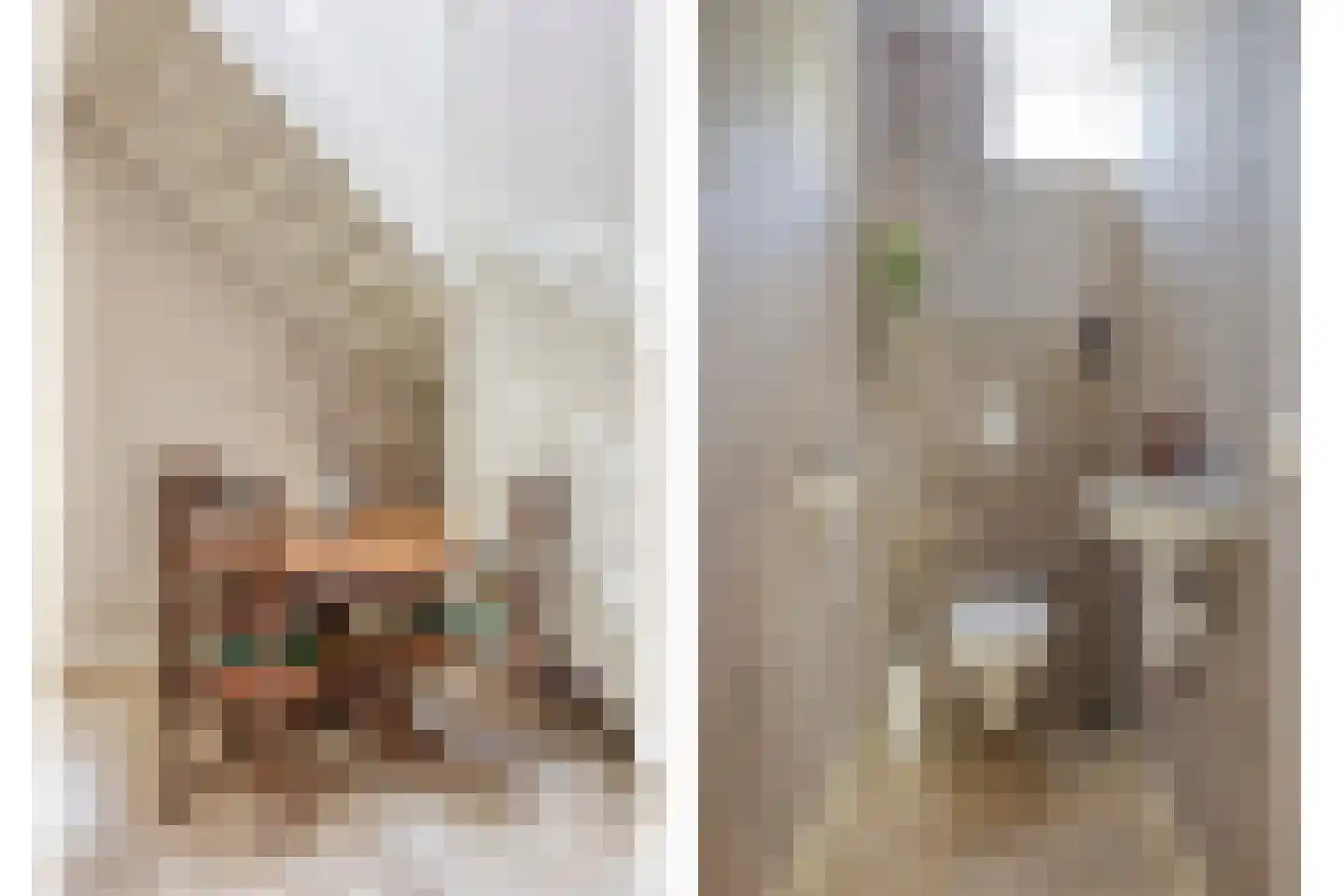 Schoofbandweg 8 Rossum thumbnail 10