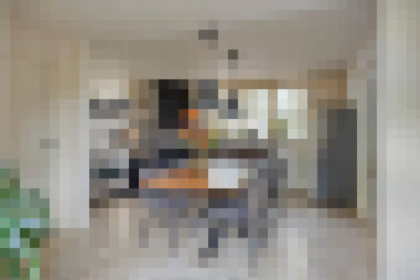 Schoofbandweg 8 Rossum thumbnail 16