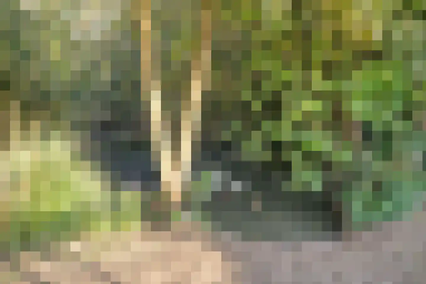 Schoofbandweg 8 Rossum thumbnail 43