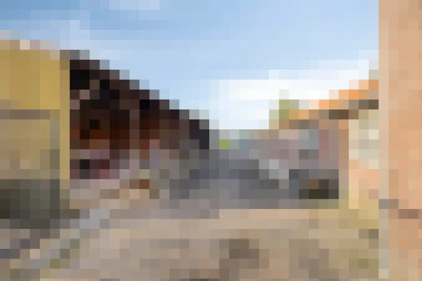 Schoofbandweg 8 Rossum thumbnail 44