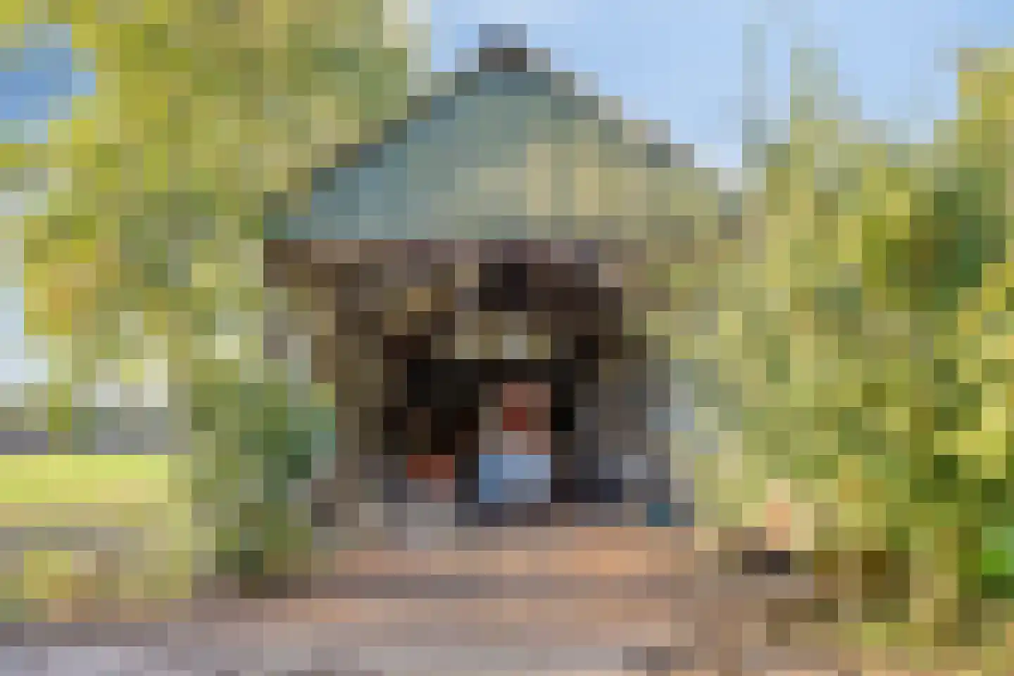 Schoofbandweg 8 Rossum thumbnail 47