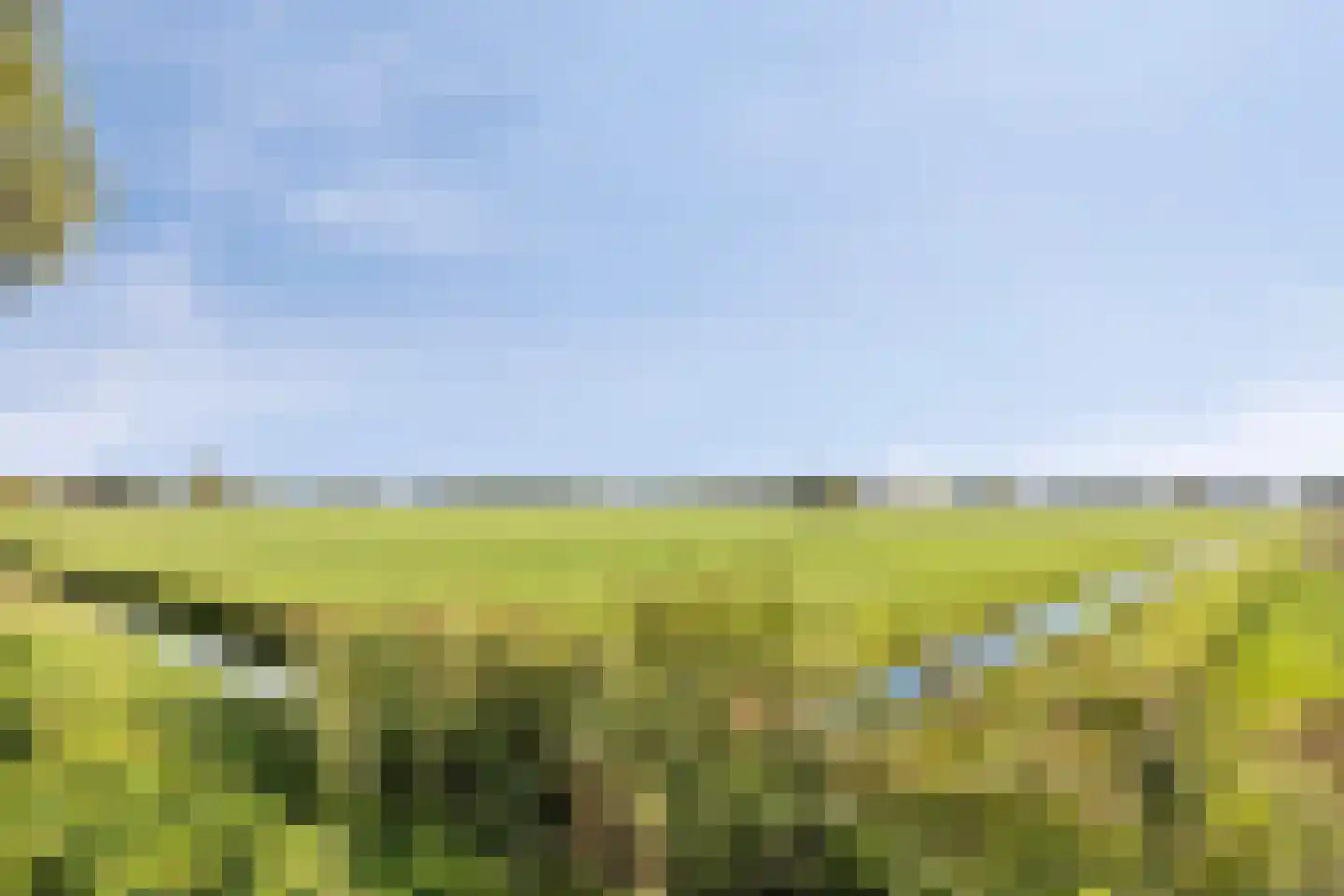 Schoofbandweg 8 Rossum thumbnail 53