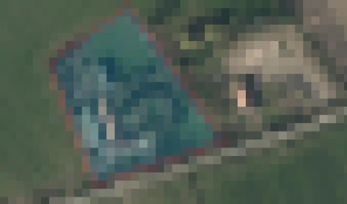 Schoofbandweg 8 Rossum thumbnail 54