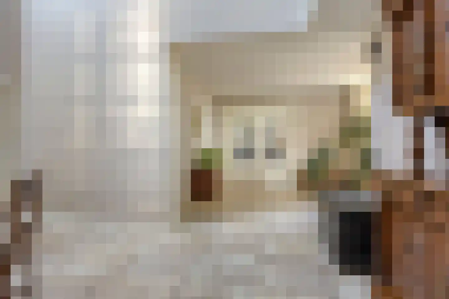 Schoofbandweg 8 Rossum thumbnail 9
