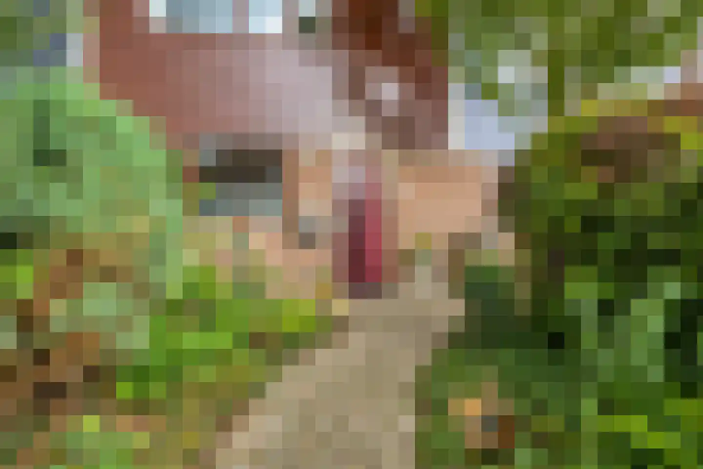 Schoofstraat 104 Purmerend thumbnail 5