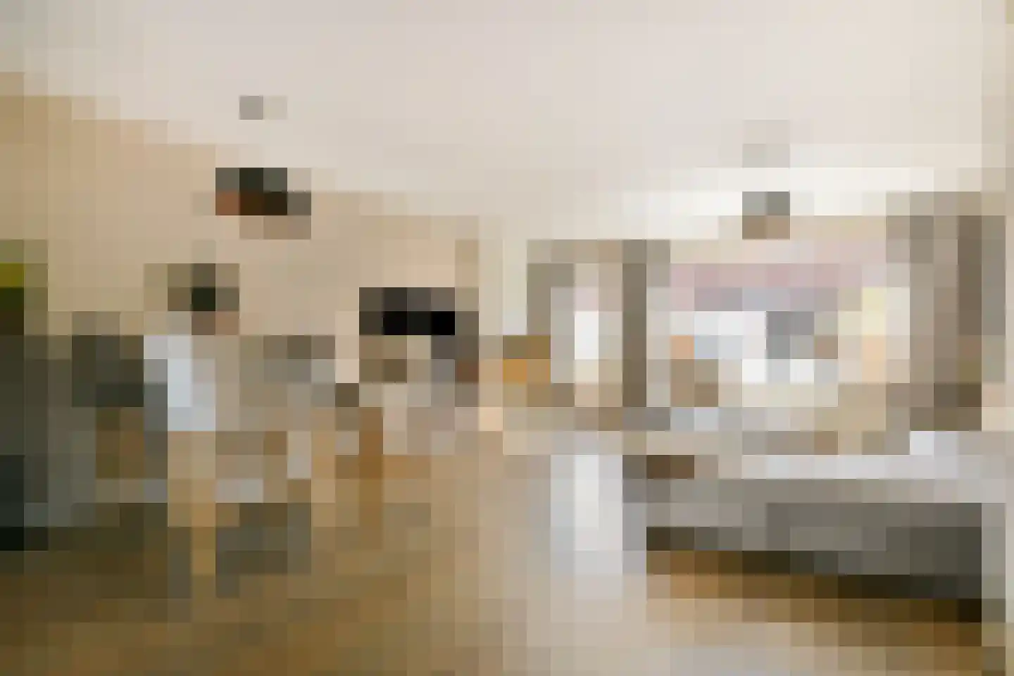 Schoofstraat 106 Purmerend thumbnail 6