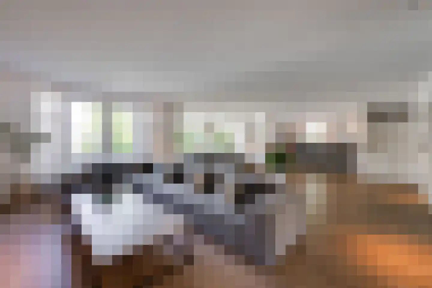 Schoolakker 5 Rijsbergen thumbnail 11