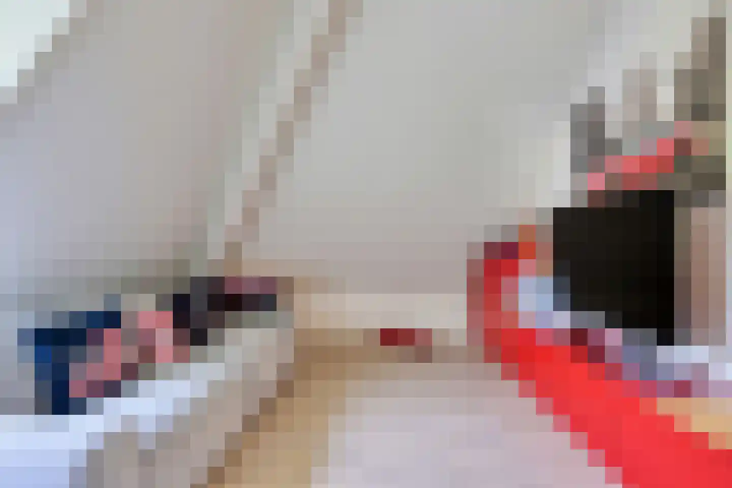 Schoolakker 5 Rijsbergen thumbnail 23