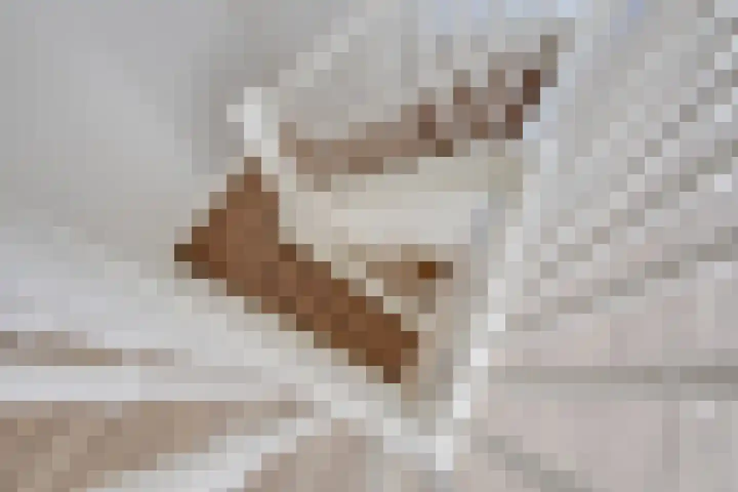 Schoolakker 5 Rijsbergen thumbnail 24