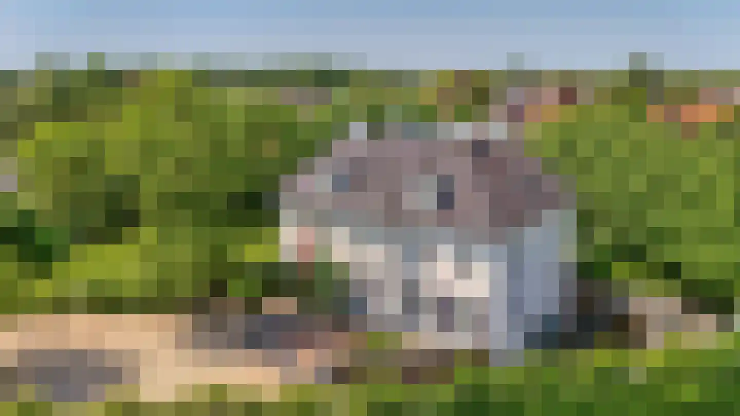 Schoolakker 5 Rijsbergen thumbnail 26