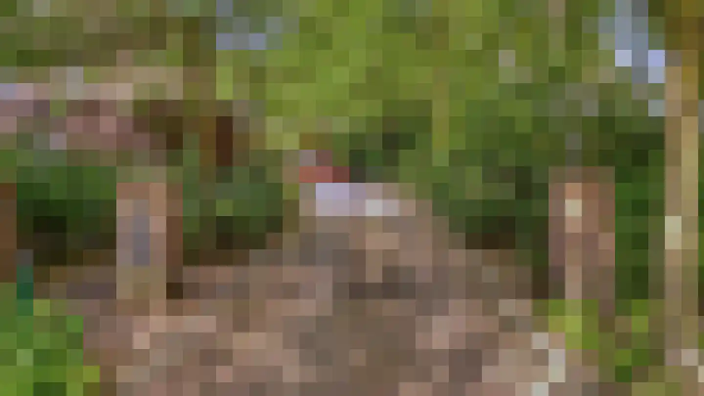 Schoolakker 5 Rijsbergen thumbnail 35