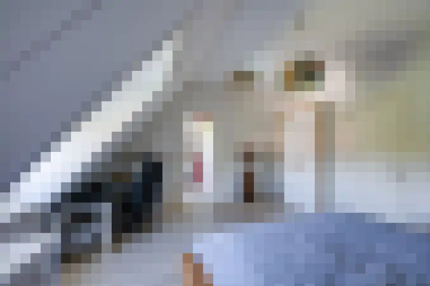 Schoolakker 5 Rijsbergen thumbnail 40