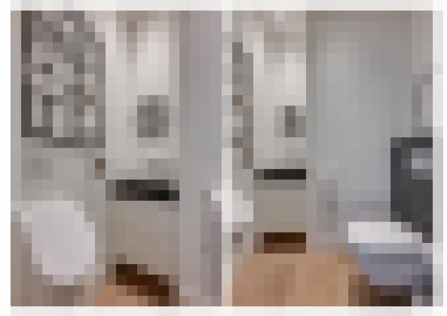 Schoolakker 5 Rijsbergen thumbnail 7