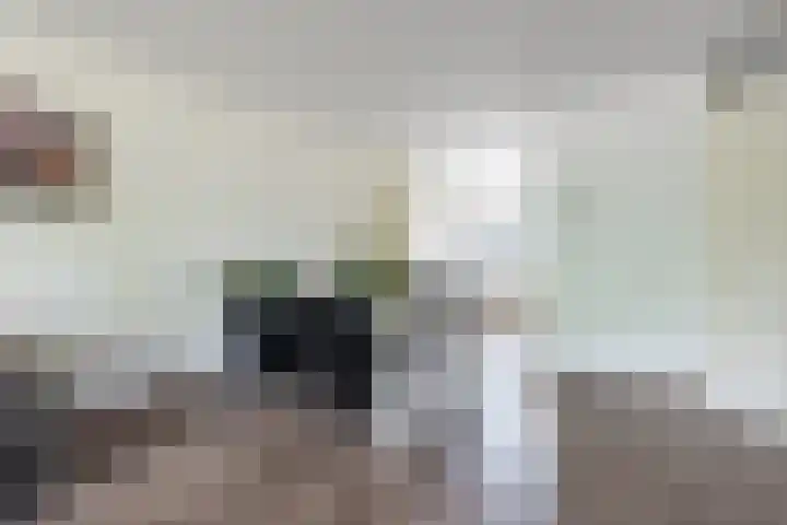 Schoolbaan 18 Roelofarendsveen thumbnail 17