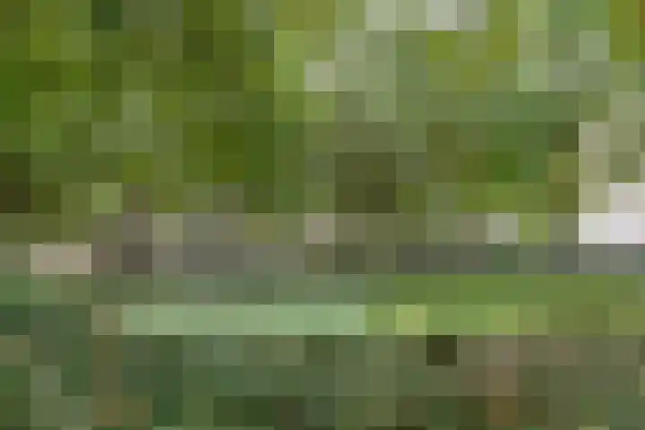 Schoolbaan 18 Roelofarendsveen thumbnail 21