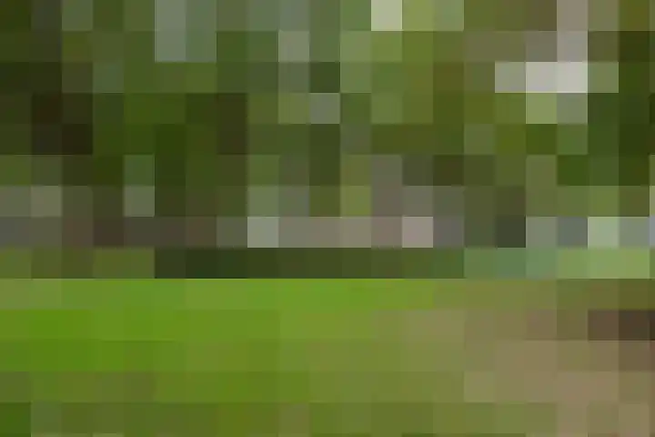 Schoolbaan 18 Roelofarendsveen thumbnail 22
