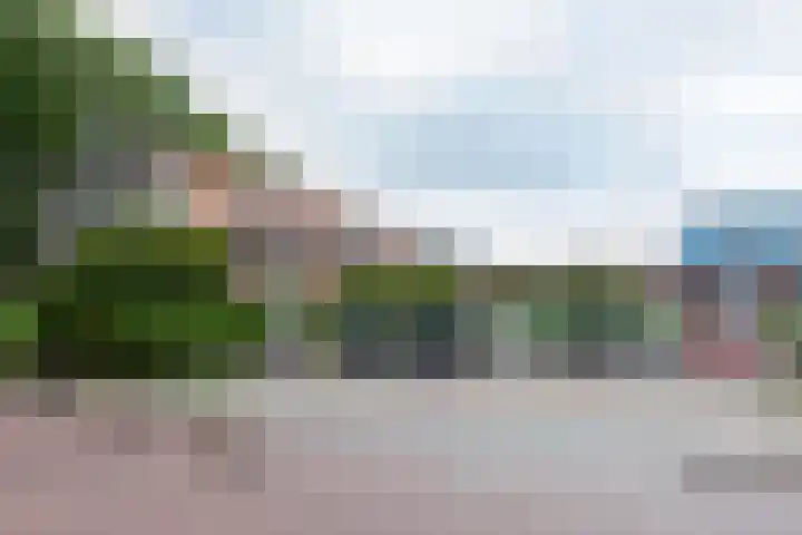 Schoolbaan 18 Roelofarendsveen thumbnail 5