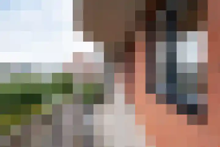 Schoolbaan 18 Roelofarendsveen thumbnail 6