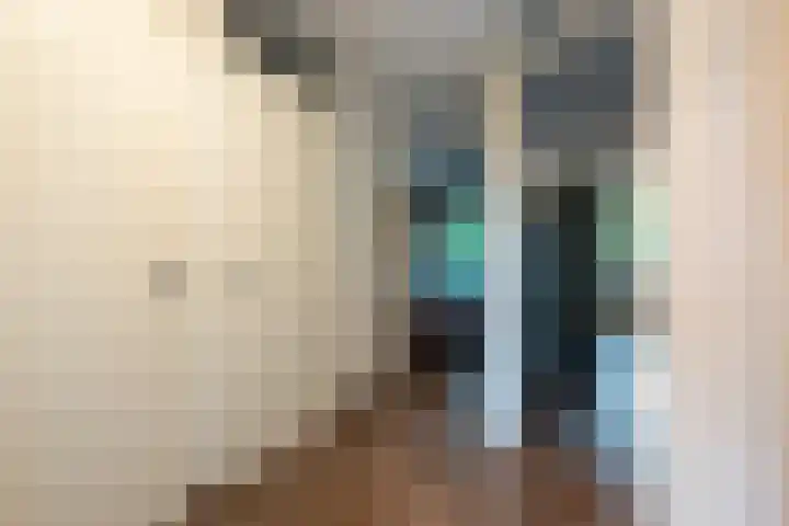 Schoolbaan 18 Roelofarendsveen thumbnail 8