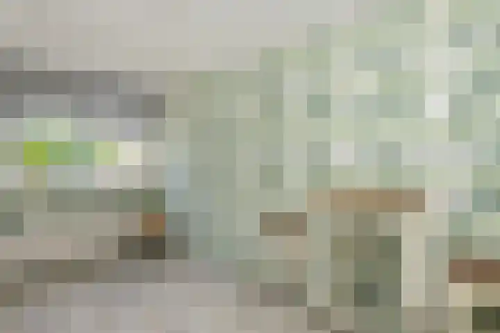 Schoolbeek 39 Ugchelen thumbnail 22