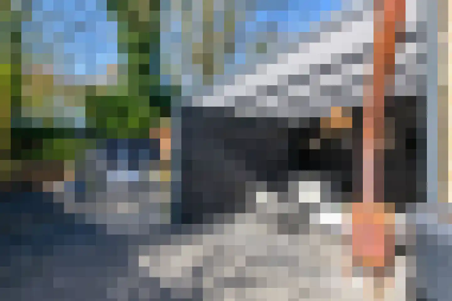 Schoolbeek 39 Ugchelen thumbnail 23