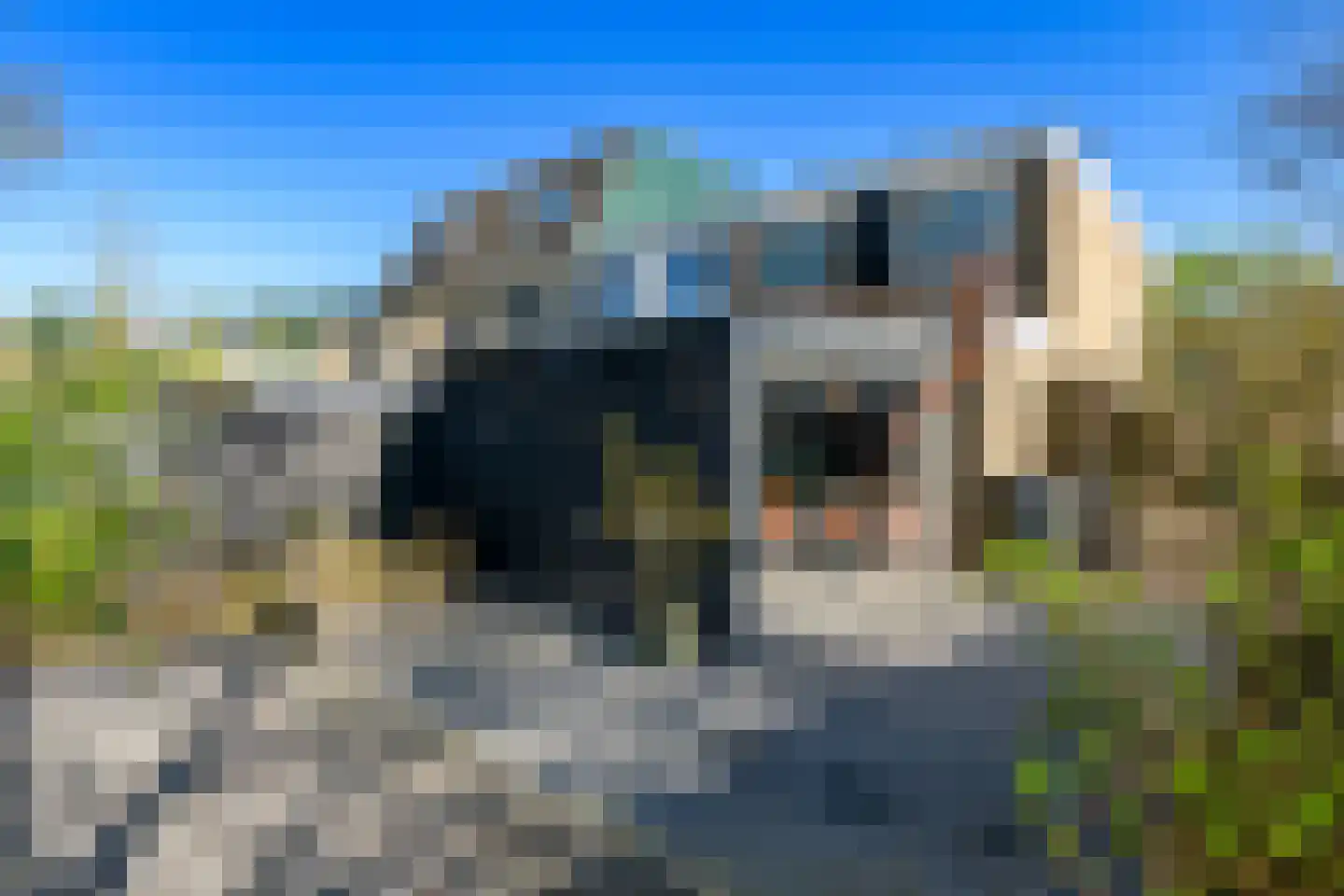 Schoolbeek 39 Ugchelen thumbnail 24