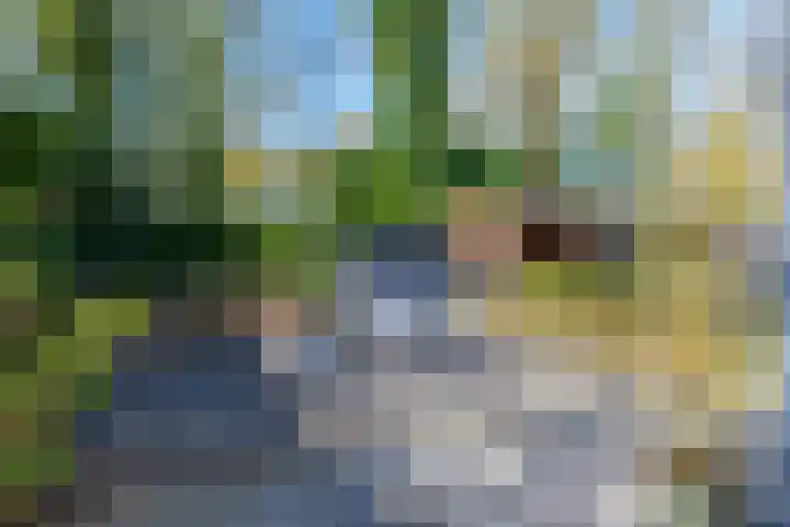 Schoolbeek 39 Ugchelen thumbnail 25