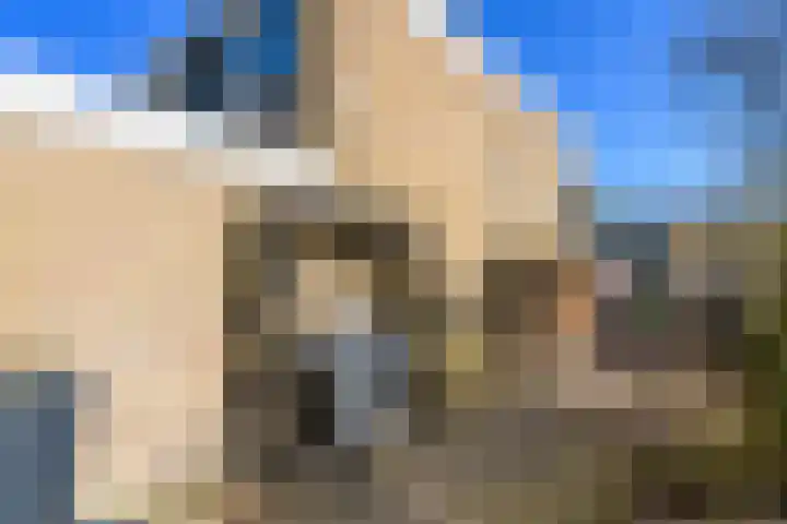 Schoolbeek 39 Ugchelen thumbnail 30