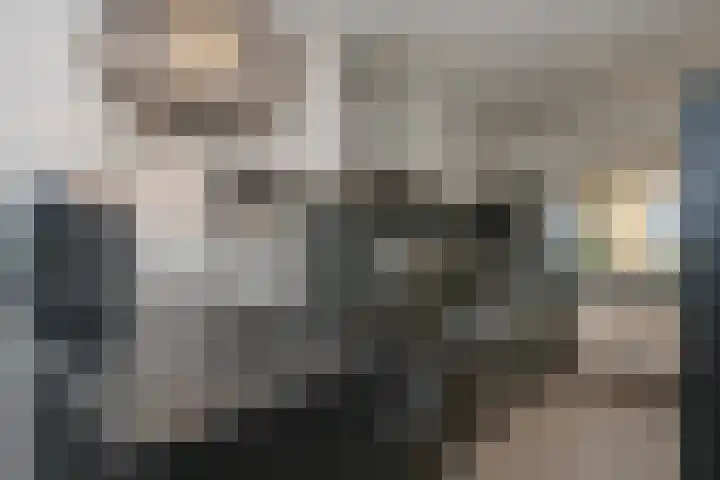 Schoolbeek 39 Ugchelen thumbnail 9
