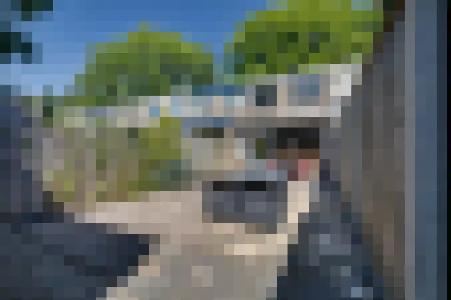 Schoolbeek 4 Ugchelen thumbnail 19