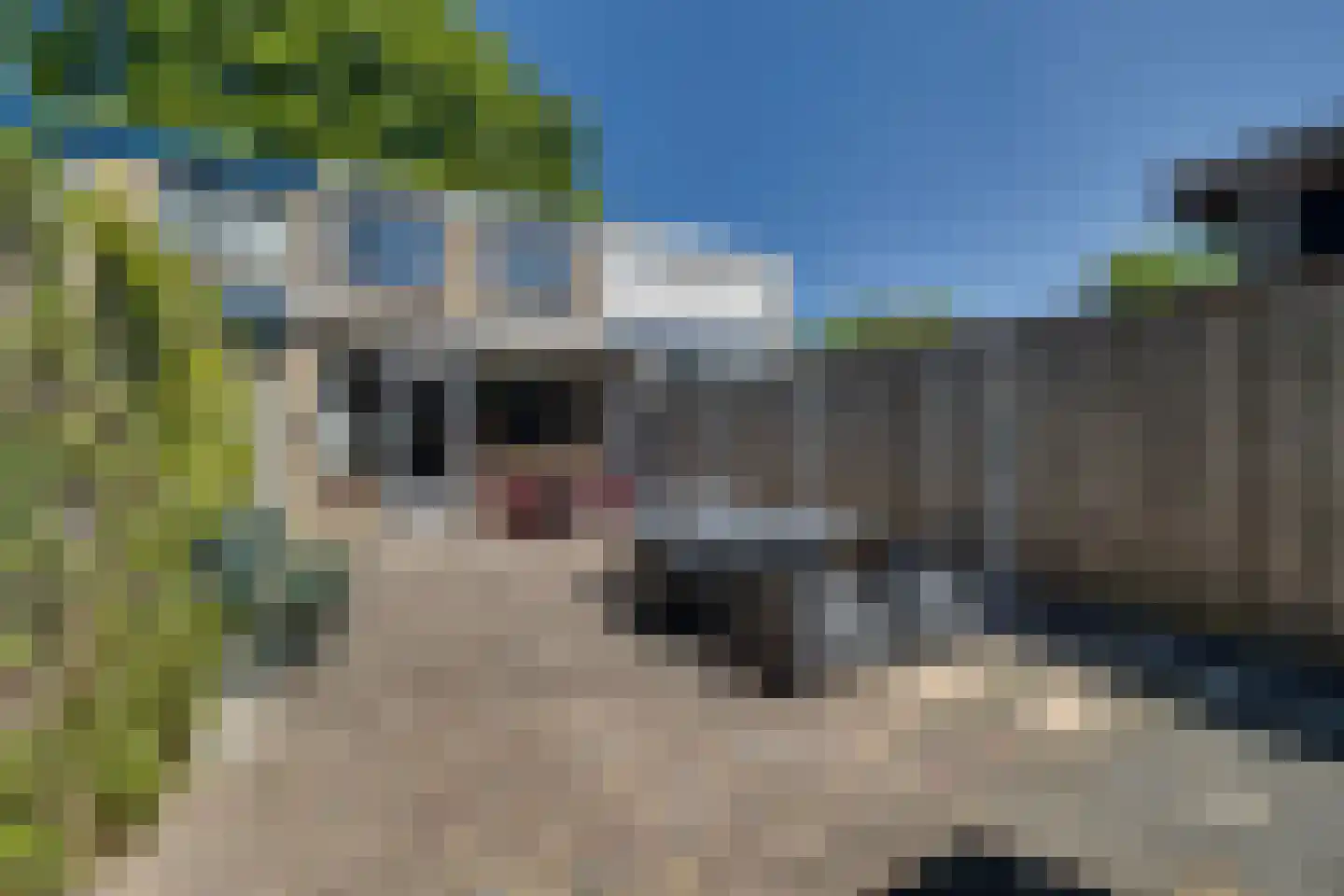 Schoolbeek 4 Ugchelen thumbnail 21