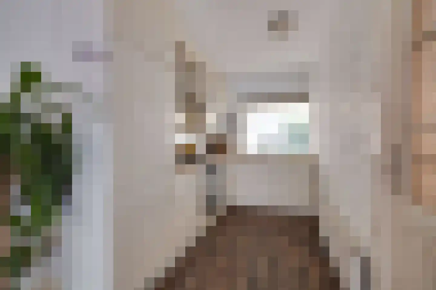Schoolbeek 4 Ugchelen thumbnail 8