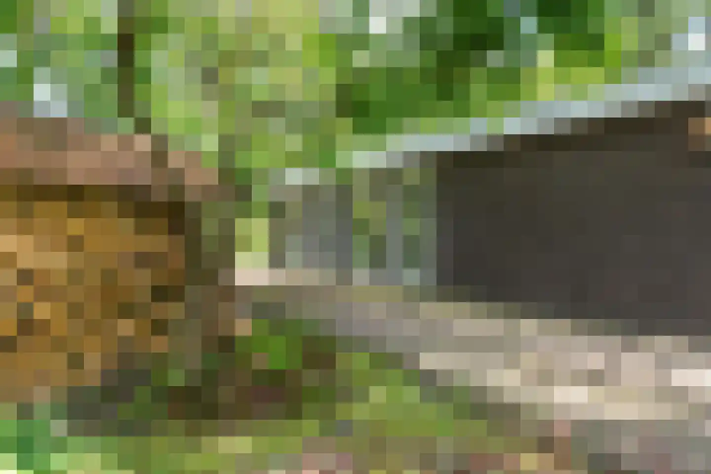 Schoolbosdwarsweg 3 Heino thumbnail 11