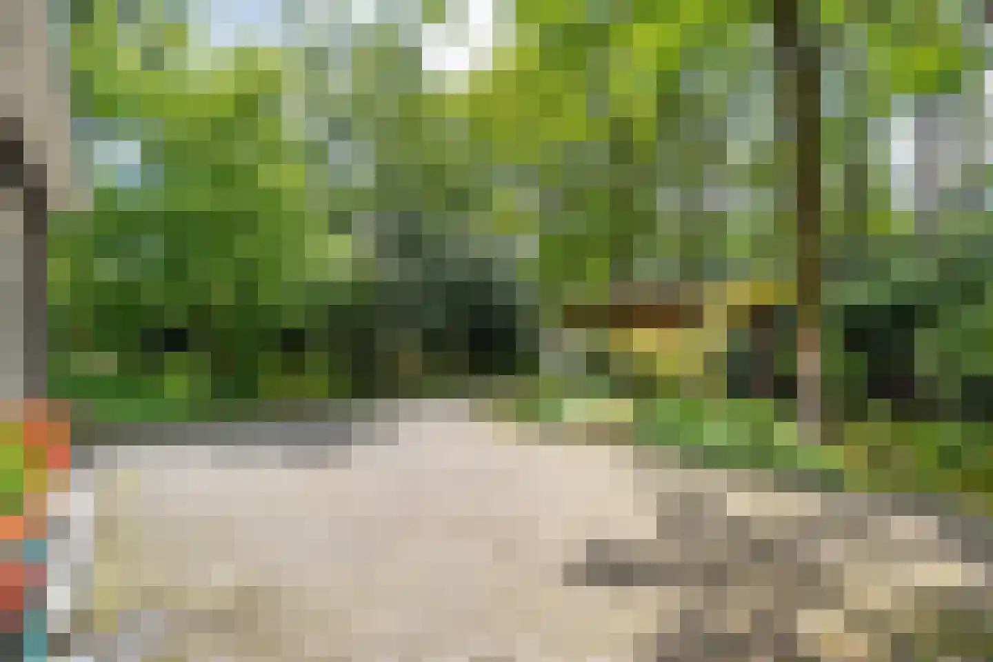 Schoolbosdwarsweg 3 Heino thumbnail 12
