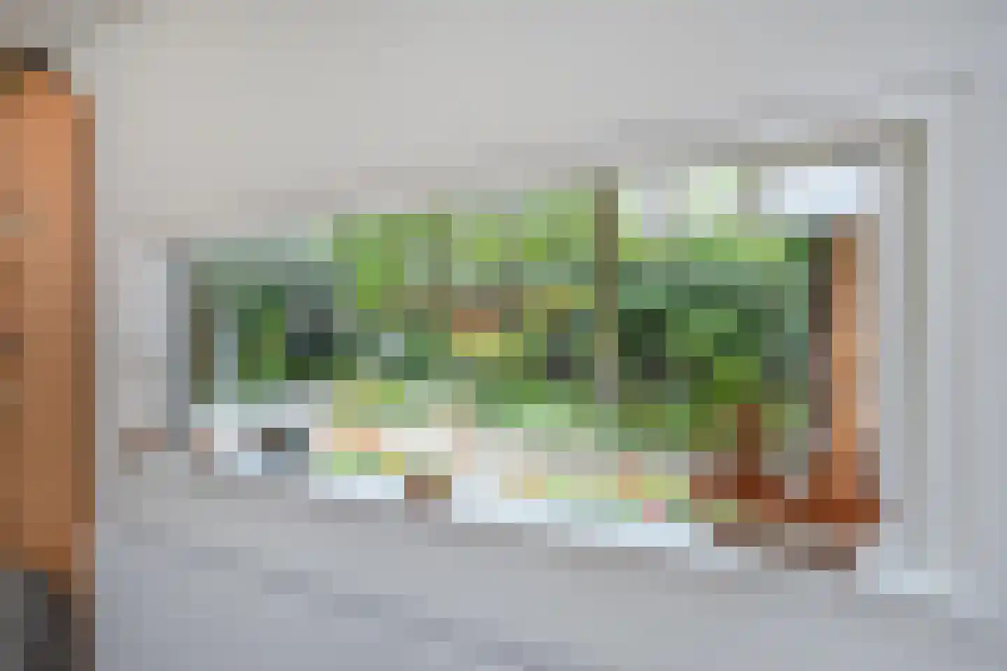 Schoolbosdwarsweg 3 Heino thumbnail 18
