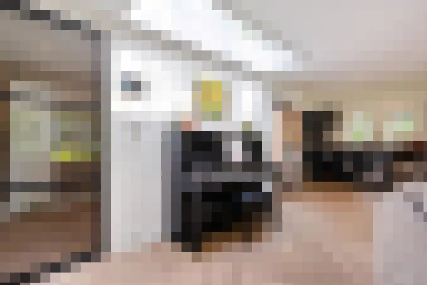 Schoolbosdwarsweg 3 Heino thumbnail 21