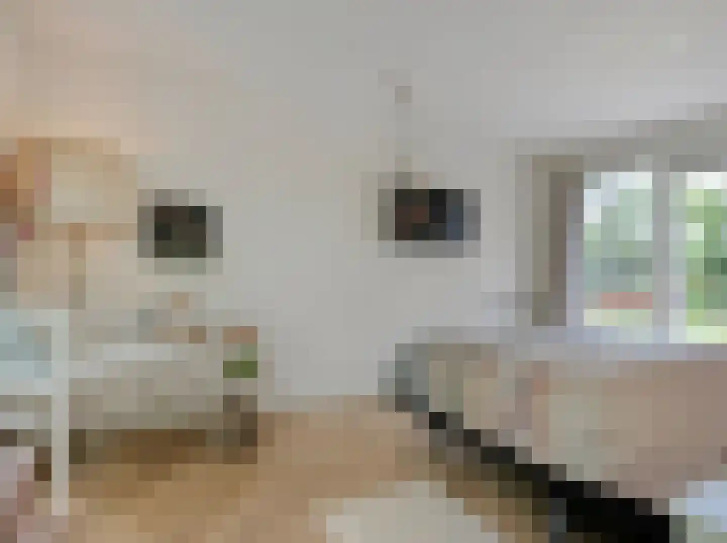 Schoolbosdwarsweg 3 Heino thumbnail 31