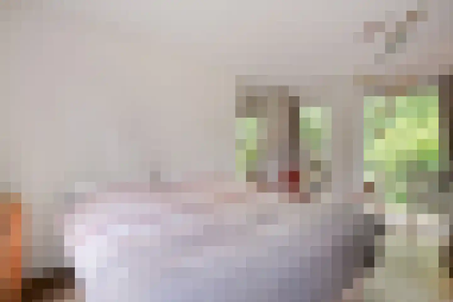 Schoolbosdwarsweg 3 Heino thumbnail 32