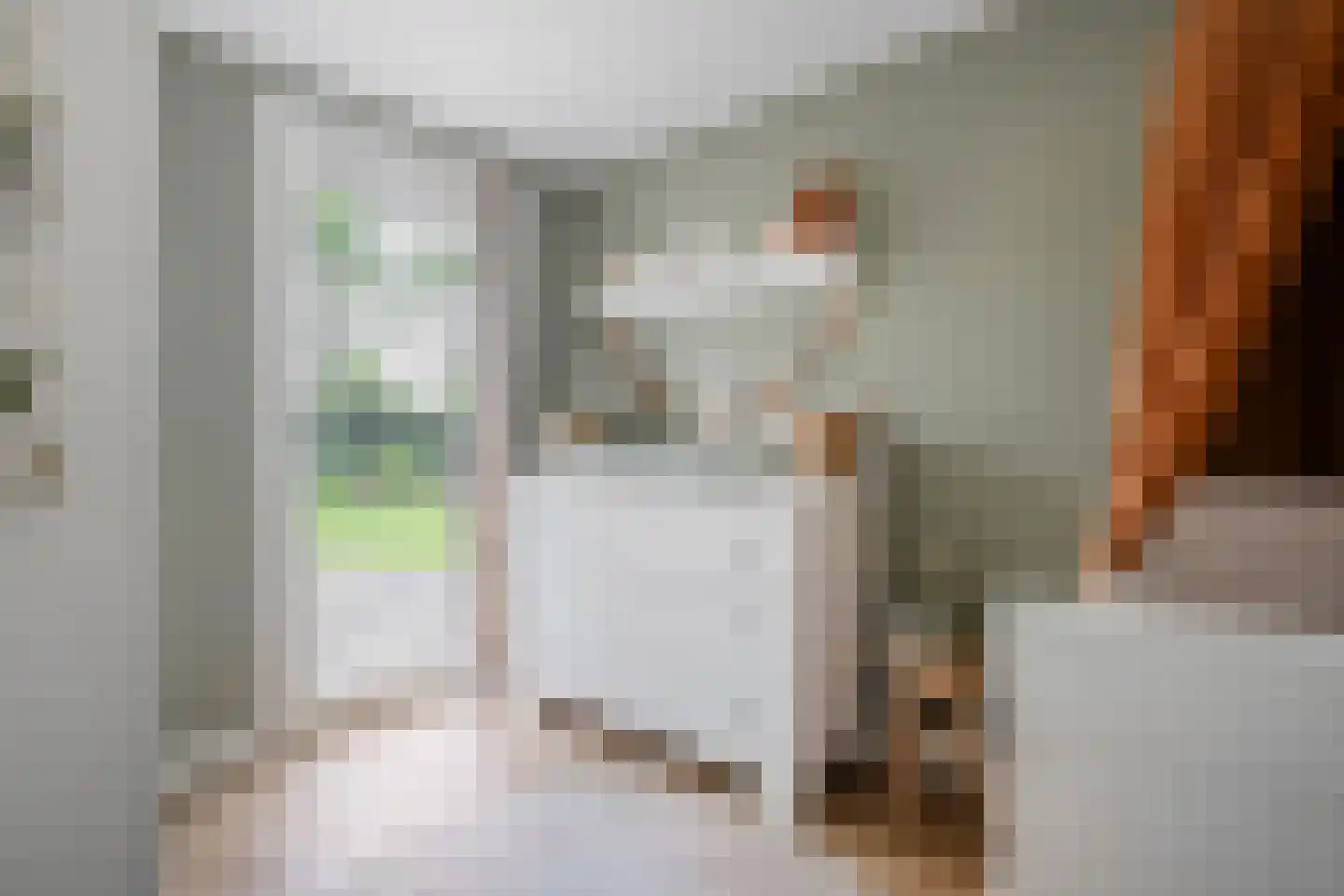 Schoolbosdwarsweg 3 Heino thumbnail 33