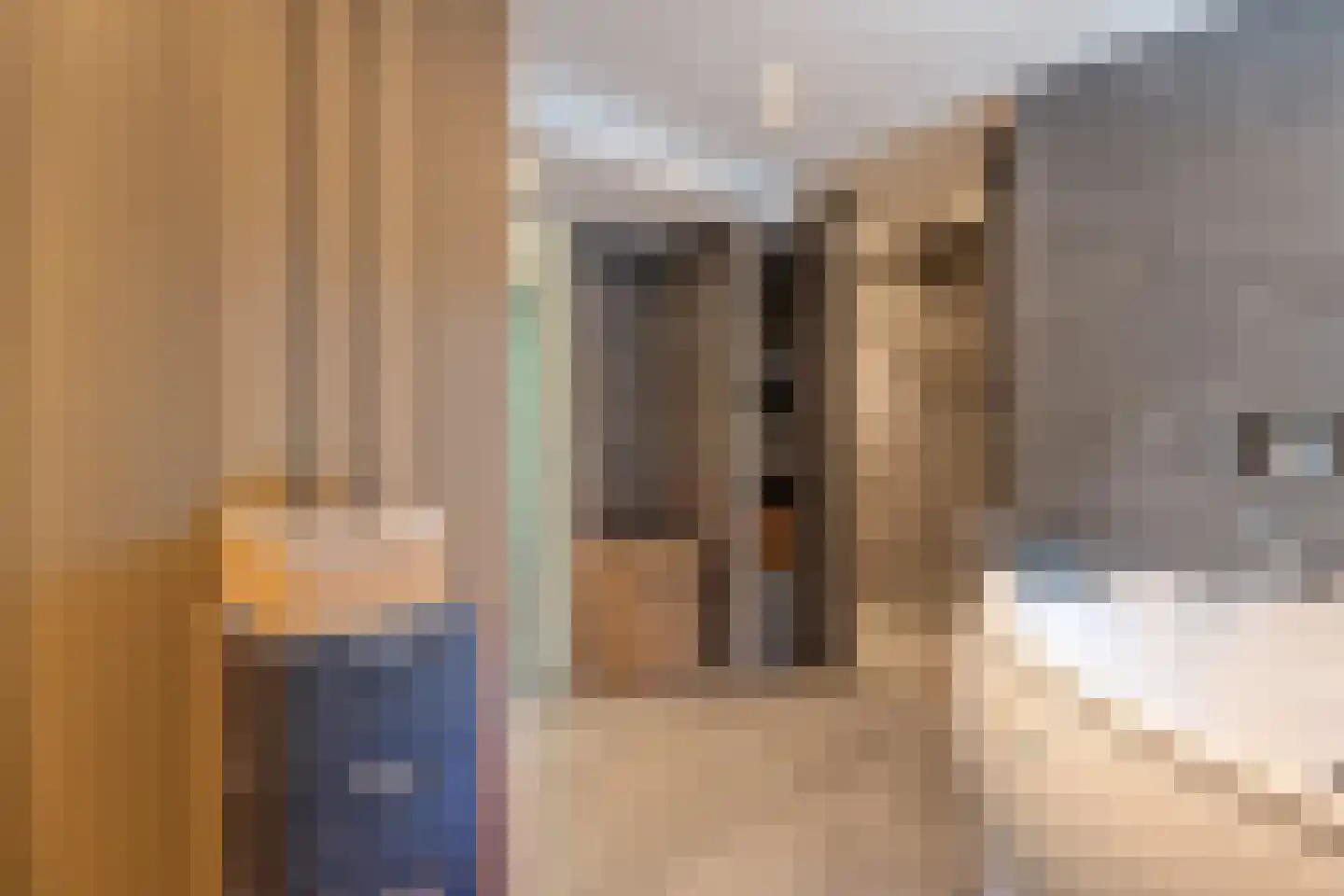 Schoolbosdwarsweg 3 Heino thumbnail 36